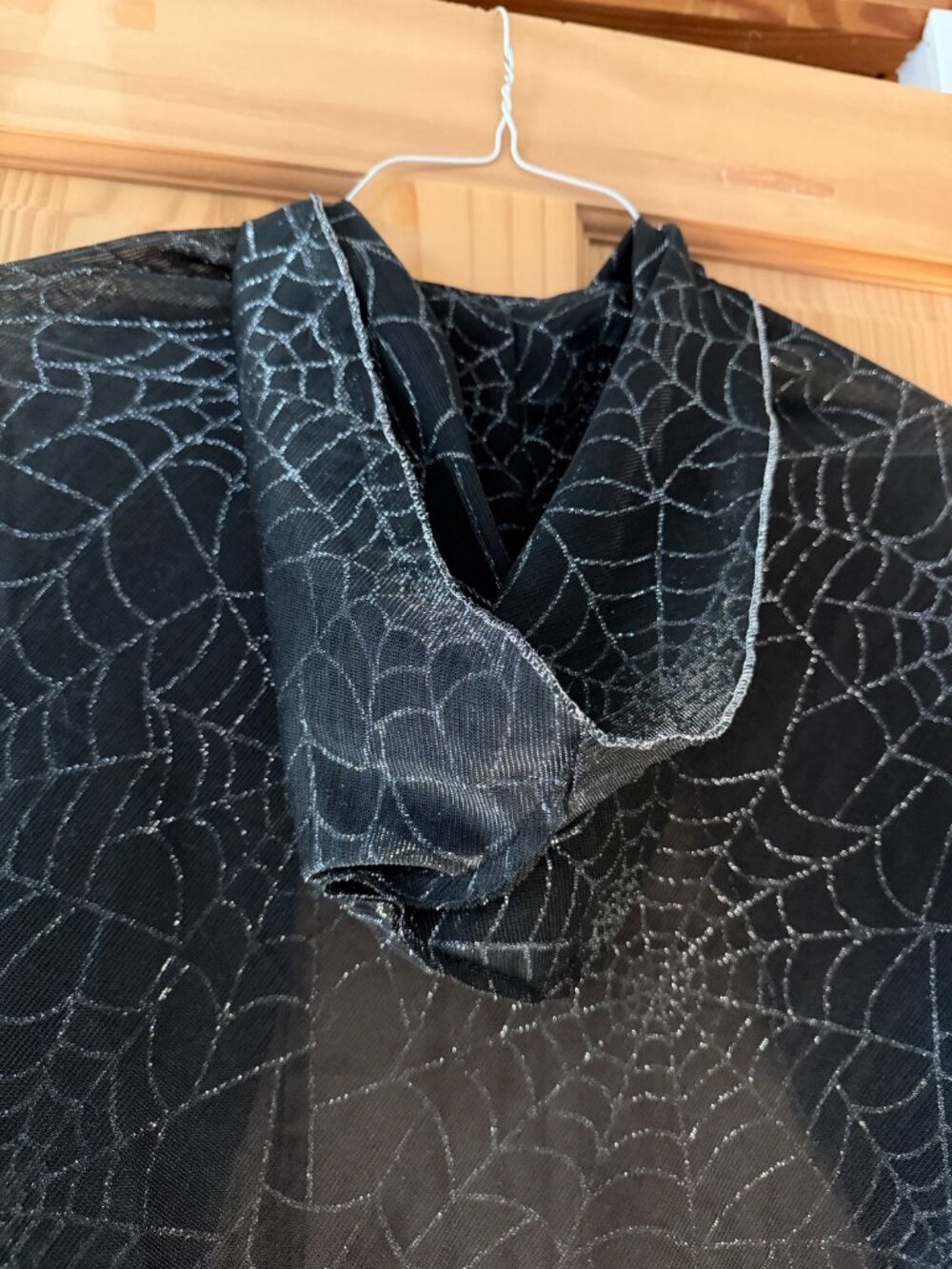 Silvery Spriderweb Cape Halloween Spooky Sexy